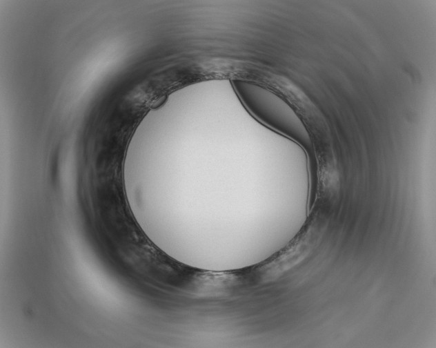 X0000112930429200909211117