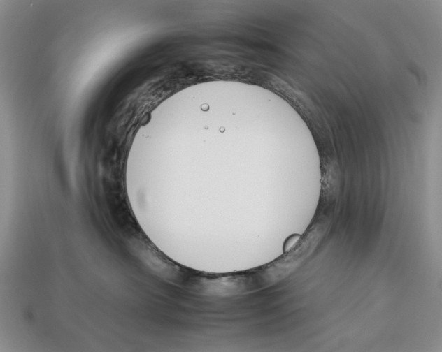 X0000112930430200909211117