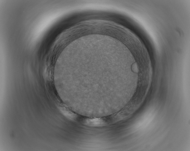 X0000112930431200909211117