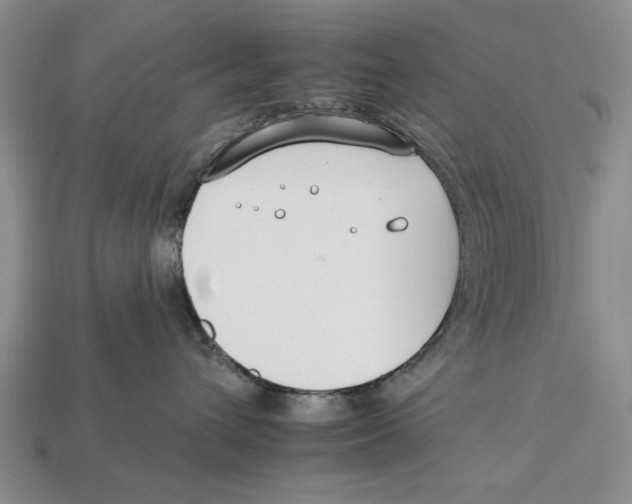X0000112930432200909211117