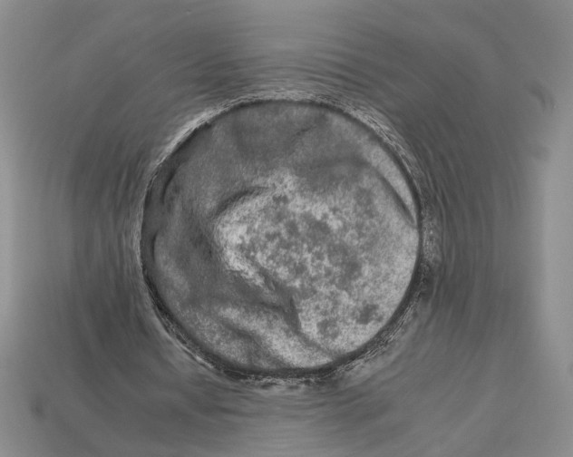 X0000112930434200909211117