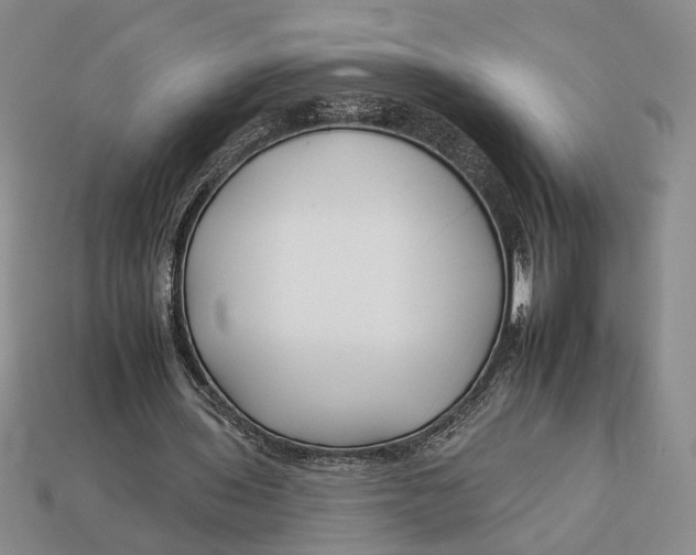 X0000112930435200909211117