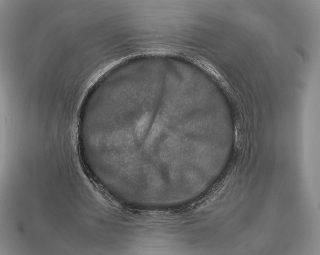 X0000112930436200909211117