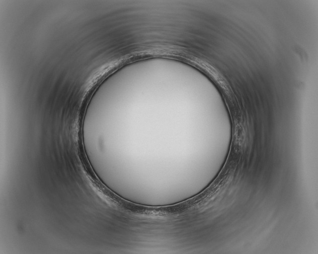 X0000112930437200909211117