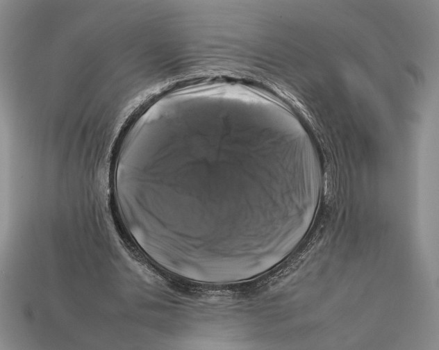 X0000112930438200909211117