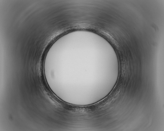 X0000112930439200909211117