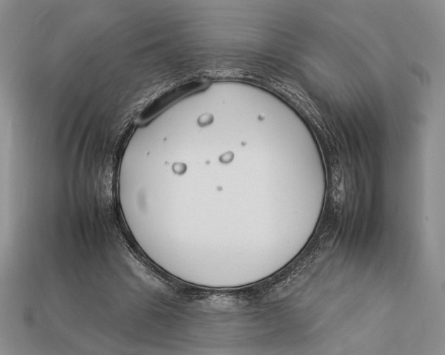 X0000112930441200909211117