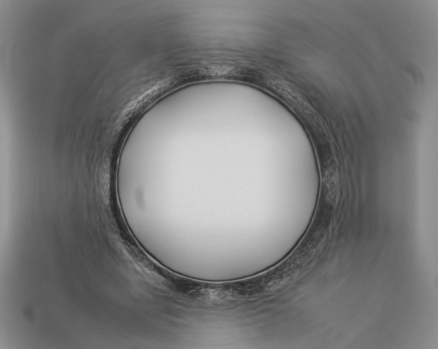 X0000112930442200909211117
