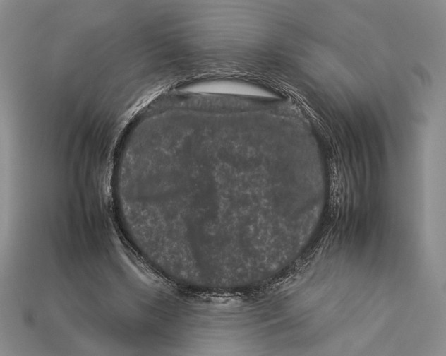 X0000112930443200909211117