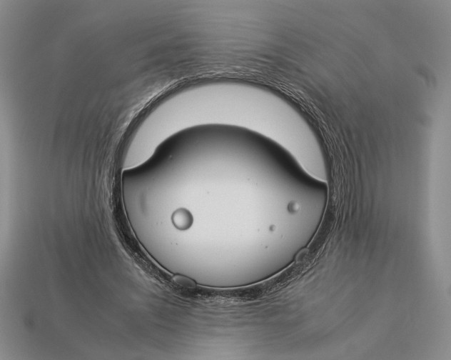 X0000112930444200909211117