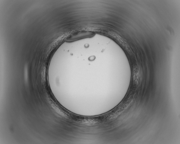 X0000112930445200909211117