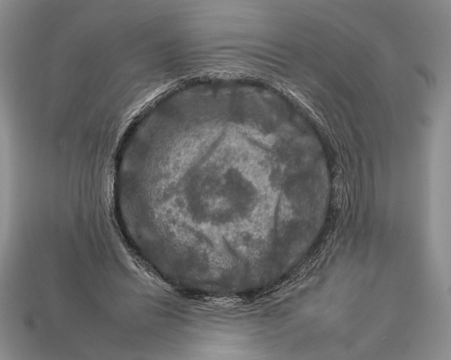 X0000112930446200909211117
