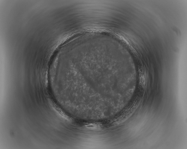 X0000112930447200909211117