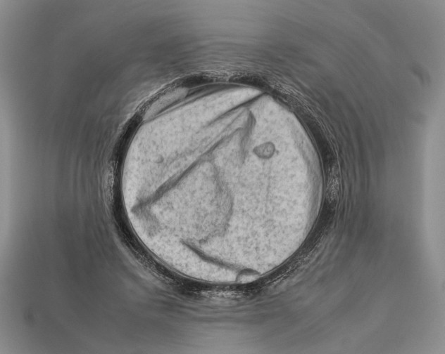X0000112930448200909211117