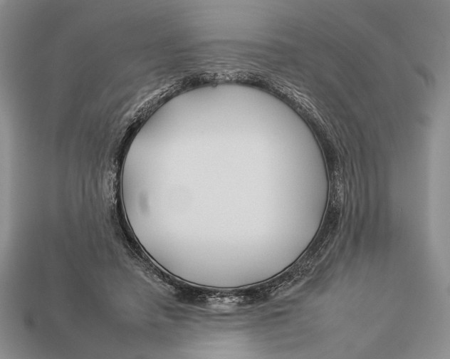 X0000112930450200909211117