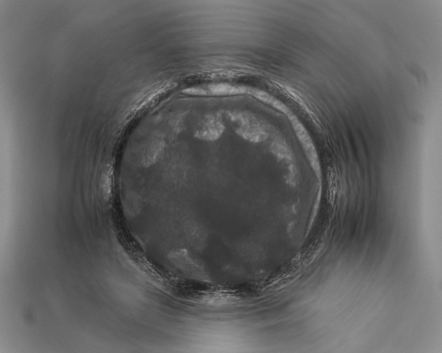 X0000112930451200909211117
