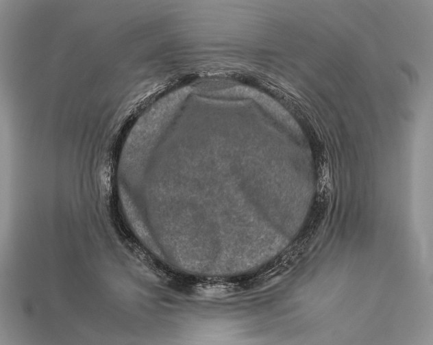 X0000112930452200909211117