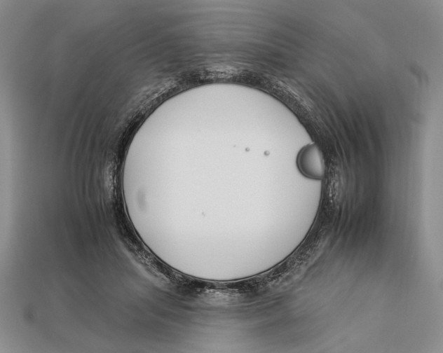 X0000112930455200909211117