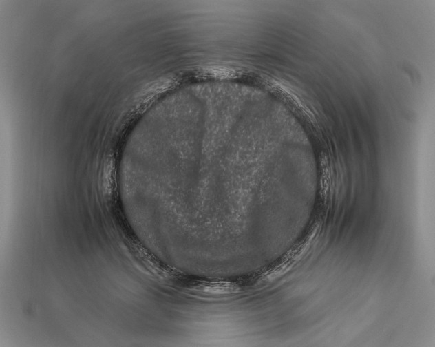X0000112930459200909211117