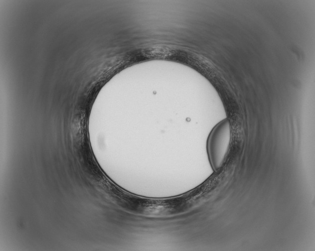 X0000112930460200909211117