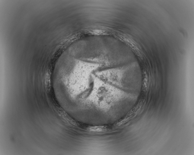 X0000112930461200909211117