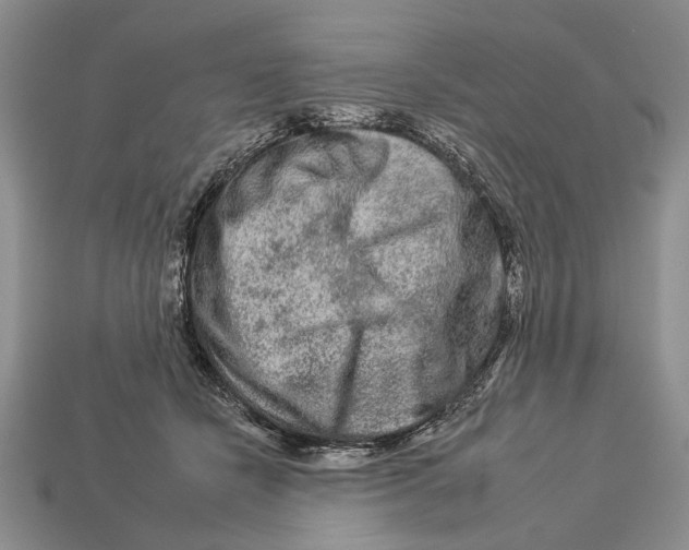 X0000112930462200909211117