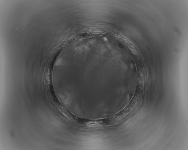 X0000112930465200909211117