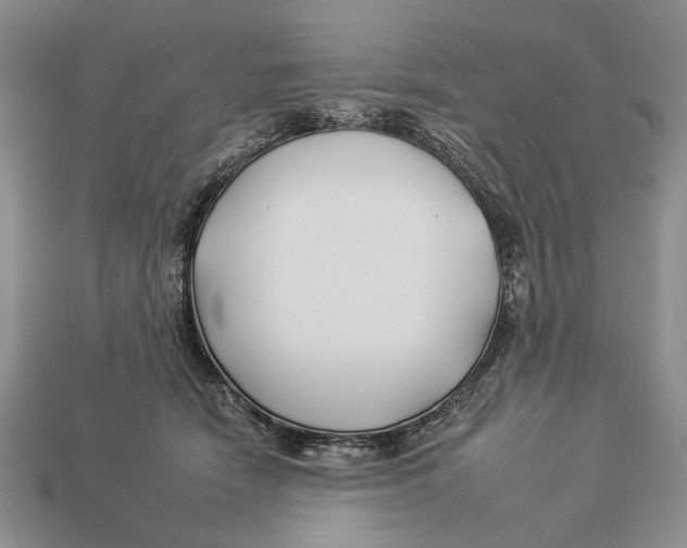 X0000112930466200909211117