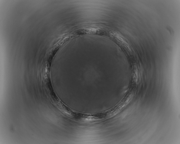 X0000112930467200909211117