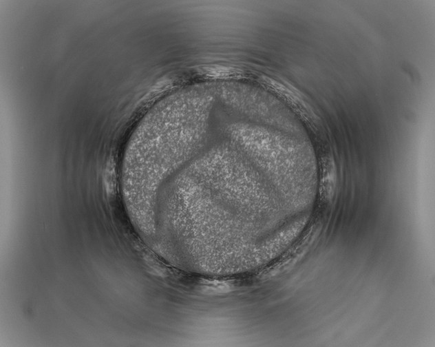 X0000112930469200909211117