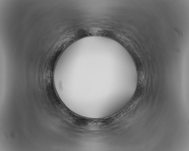 X0000112930470200909211117