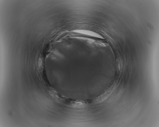 X0000112930475200909211117