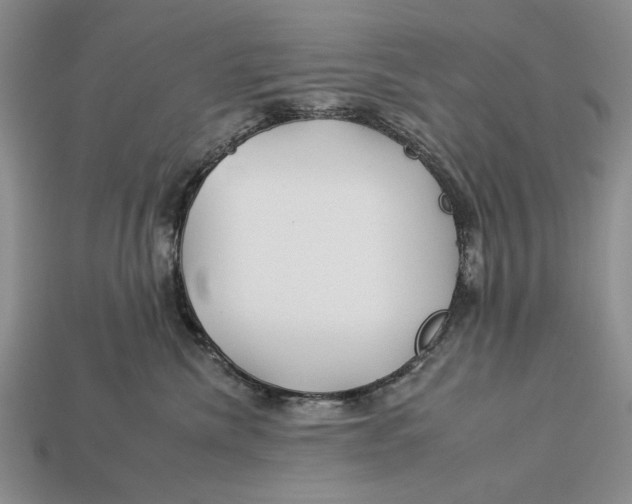 X0000112930476200909211117