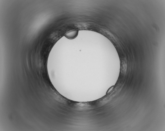 X0000112930477200909211117
