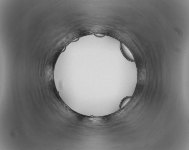 X0000112930478200909211117