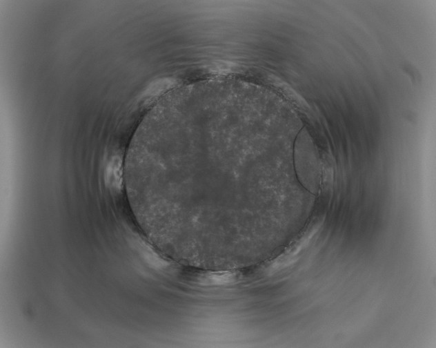 X0000112930479200909211117