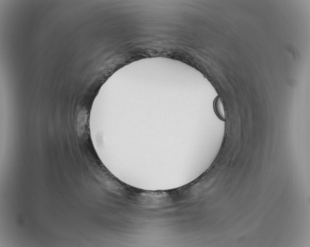 X0000112930480200909211117