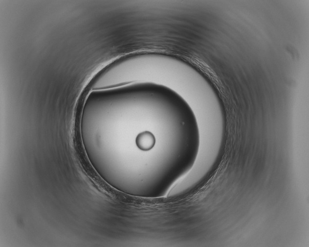 X0000112930484200909211116