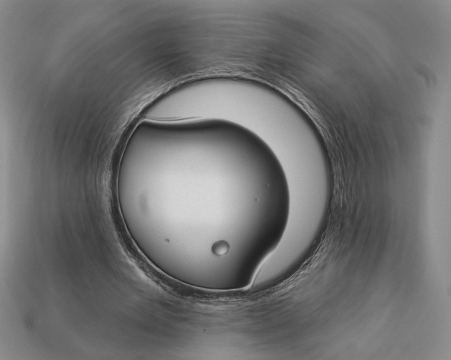 X0000112930485200909211116