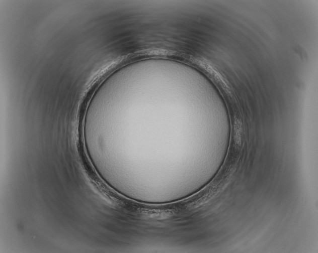 X0000112930486200909211116