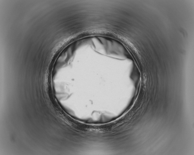 X0000112930487200909211116