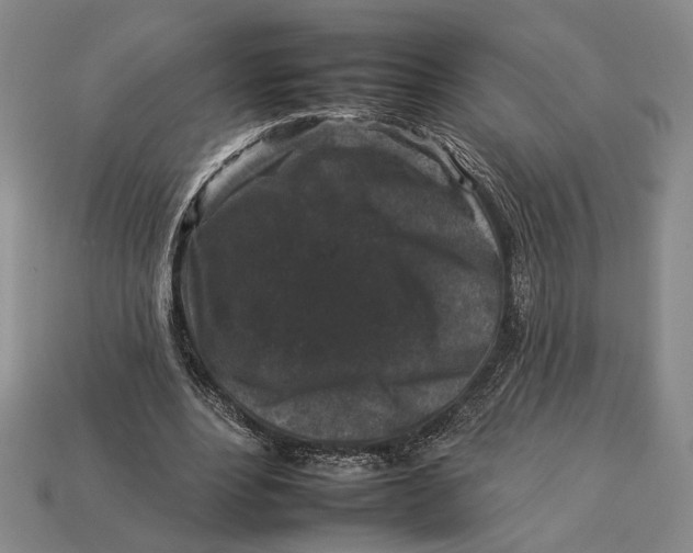 X0000112930488200909211116