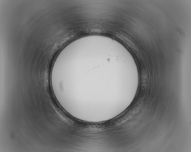 X0000112930489200909211116