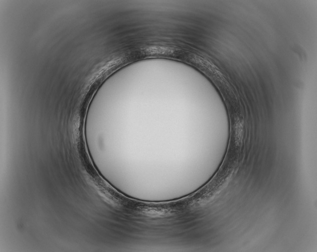 X0000112930490200909211116