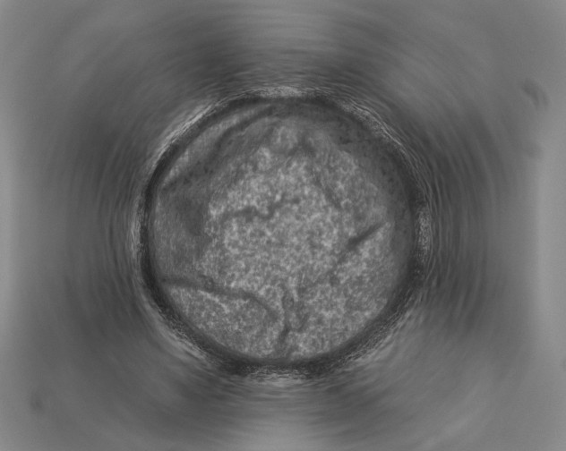 X0000112930491200909211116