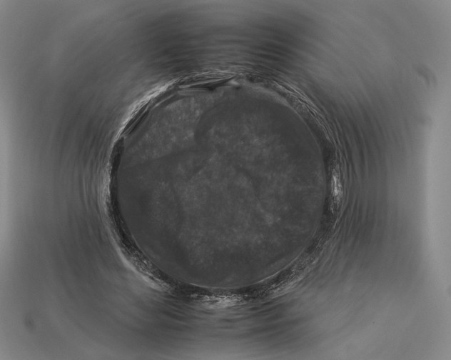 X0000112930492200909211116