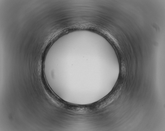 X0000112930493200909211116