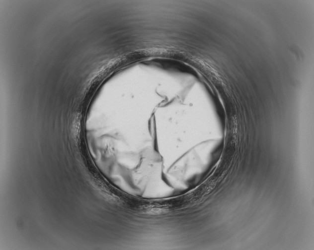 X0000112930495200909211116