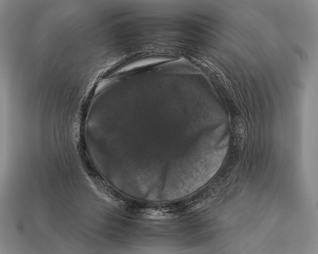 X0000112930496200909211116
