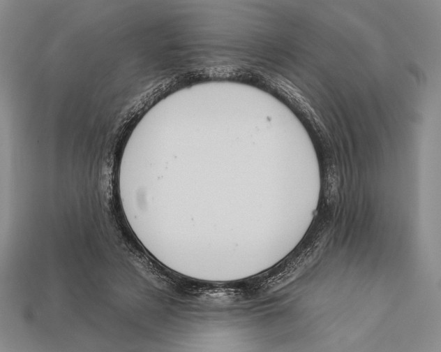 X0000112930497200909211116